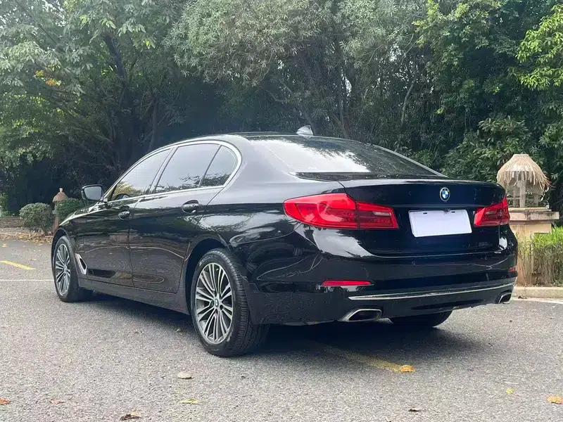 2018 BMW 5 Series Facelift 530Li Luxury Package — миниатюра 5