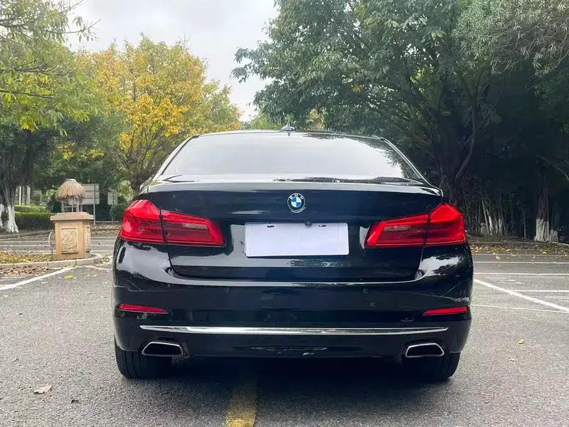 2018 BMW 5 Series Facelift 530Li Luxury Package — миниатюра 6