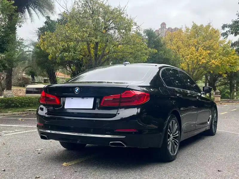 2018 BMW 5 Series Facelift 530Li Luxury Package — миниатюра 7