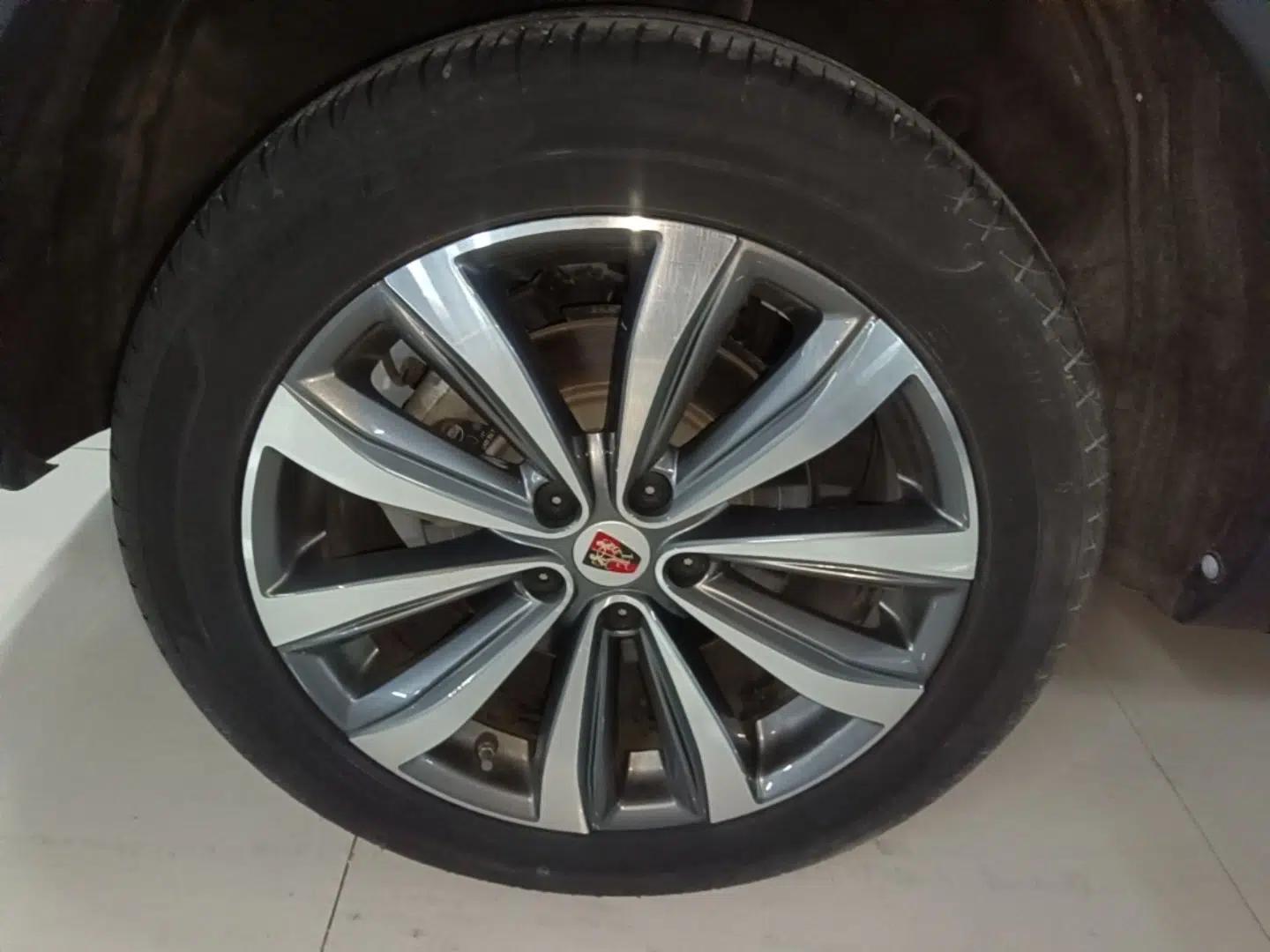 Roewe RX5 MAX 2019 300TGI Automatic 4G Connect Luxury Edition — миниатюра 11