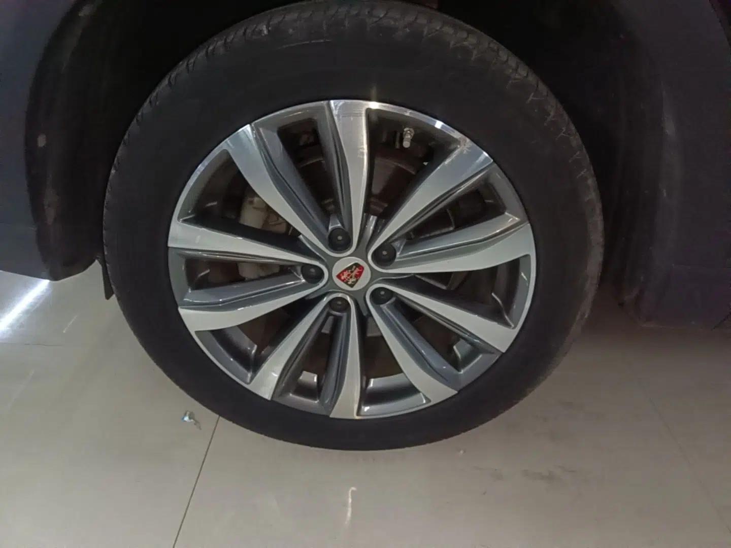 Roewe RX5 MAX 2019 300TGI Automatic 4G Connect Luxury Edition — миниатюра 15