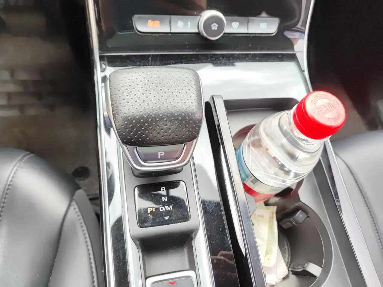 Roewe RX5 MAX 2019 300TGI Automatic 4G Connect Luxury Edition — миниатюра 14