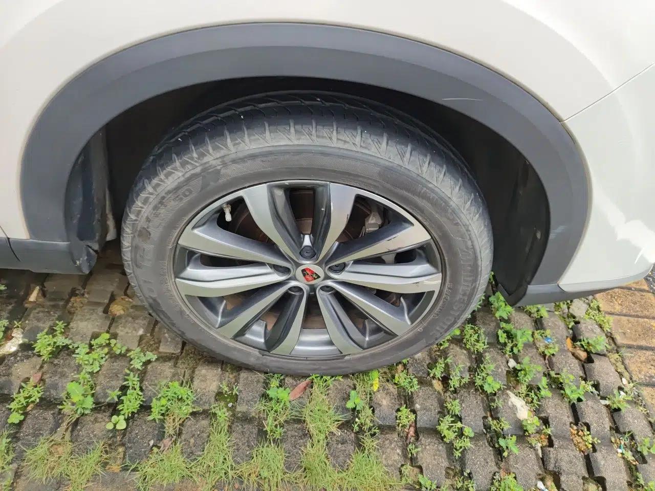 Roewe RX5 MAX 2019 300TGI Automatic 4G Connect Luxury Edition — миниатюра 8
