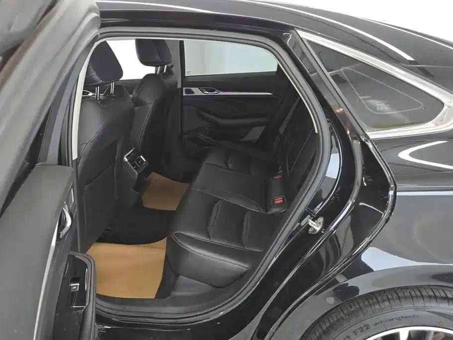 Xingrui 2021 2.0TD Luxury Edition — миниатюра 11