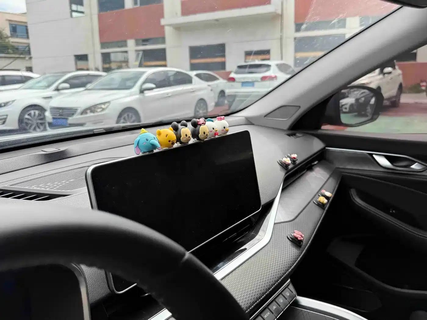 Xingrui 2021 2.0TD Luxury Edition — миниатюра 11