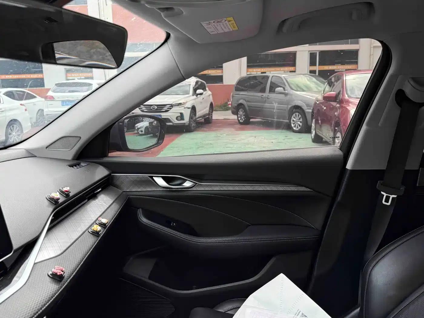 Xingrui 2021 2.0TD Luxury Edition — миниатюра 12