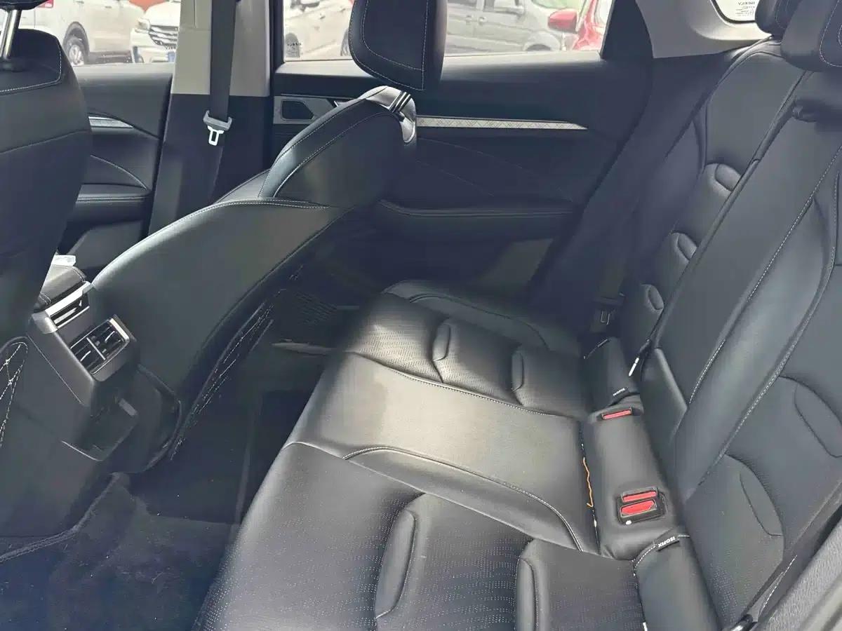 Xingrui 2021 2.0TD Luxury Edition — миниатюра 14