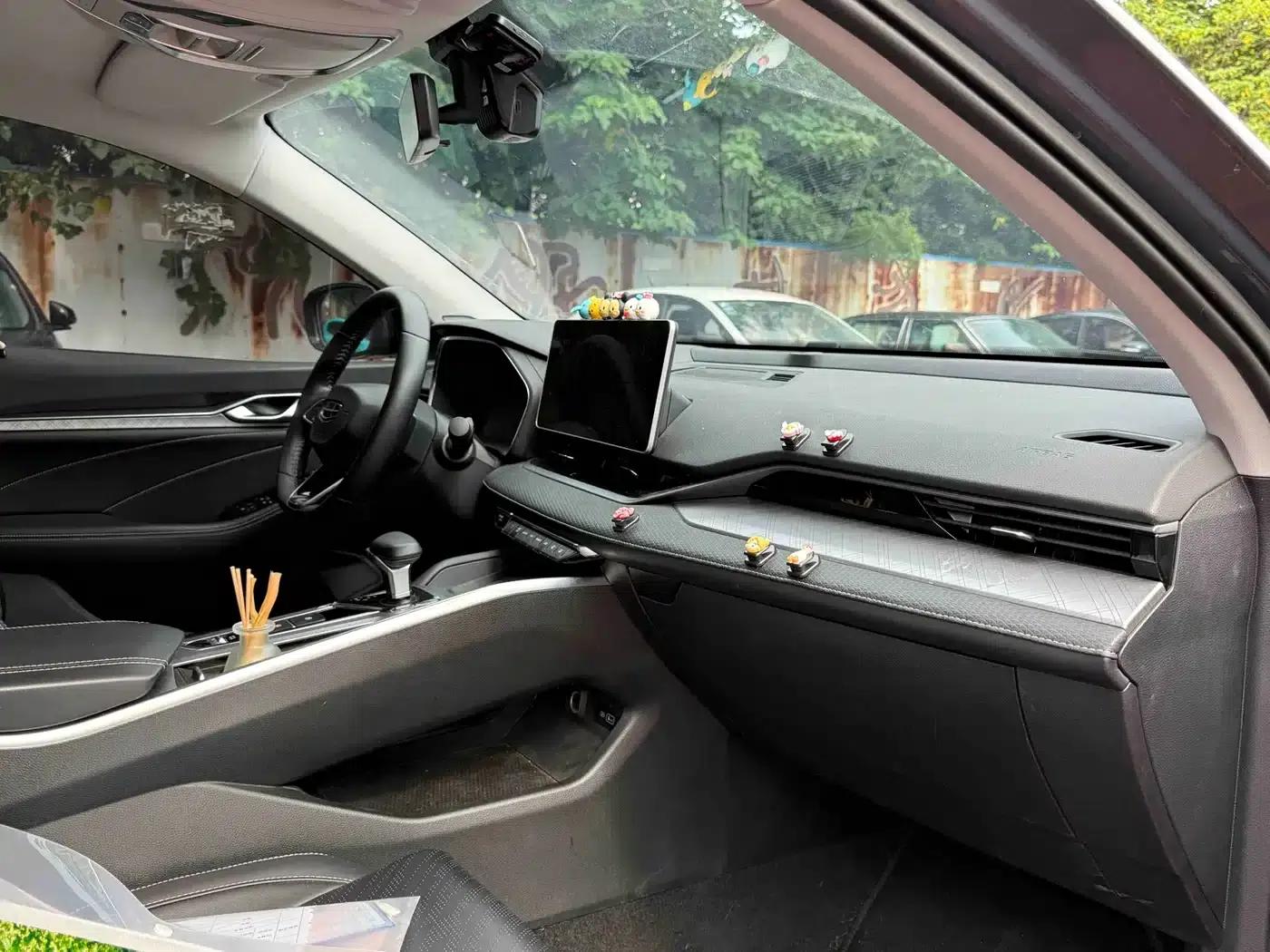Xingrui 2021 2.0TD Luxury Edition — миниатюра 15