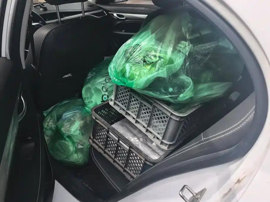 Geely Emgrand 2020 1.5L Manual Comfort Model — миниатюра 11