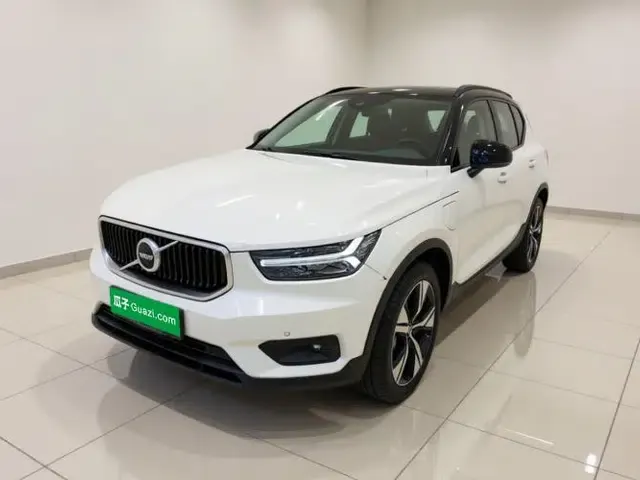 Volvo XC40 New Energy 2021 P8 Pure Electric All-Wheel Drive Smart Luxury Sport Edition