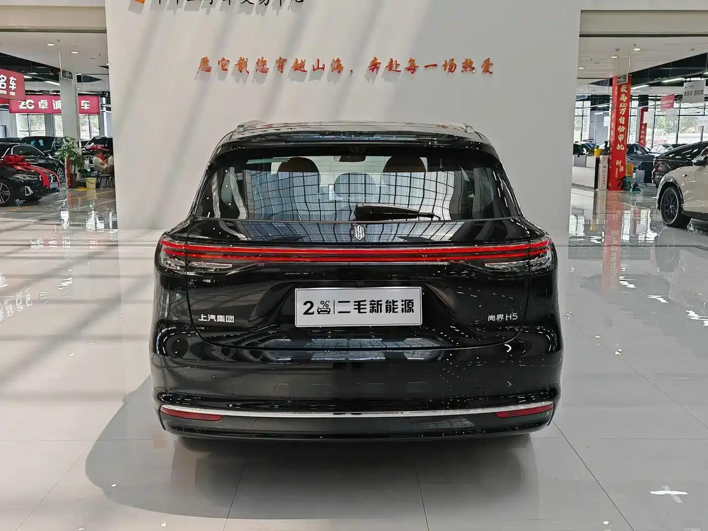 2025 Shangjie H5 Extended Range Max — миниатюра 6