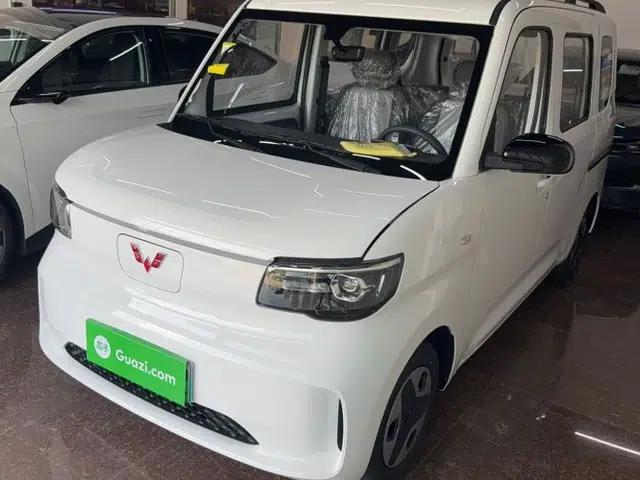 Wuling Zhiguang New Energy 2025 Model 305km Ambitious Edition