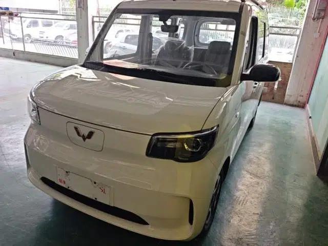 Wuling Zhiguang New Energy 2025 Model 305km Ambitious Edition