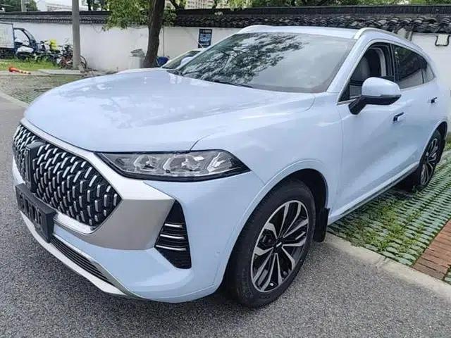 Wey Mocha 2021 2.0T Two-Wheel-Drive Premium Edition