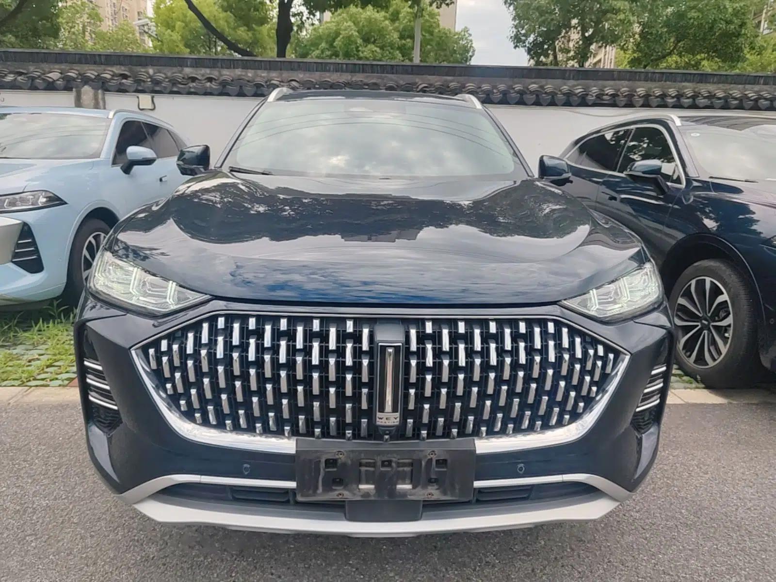 Wey Mocha 2021 2.0T Two-Wheel-Drive Premium Edition — миниатюра 2