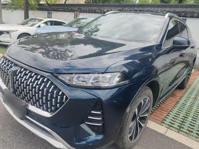 Wey Mocha 2021 2.0T Two-Wheel-Drive Premium Edition