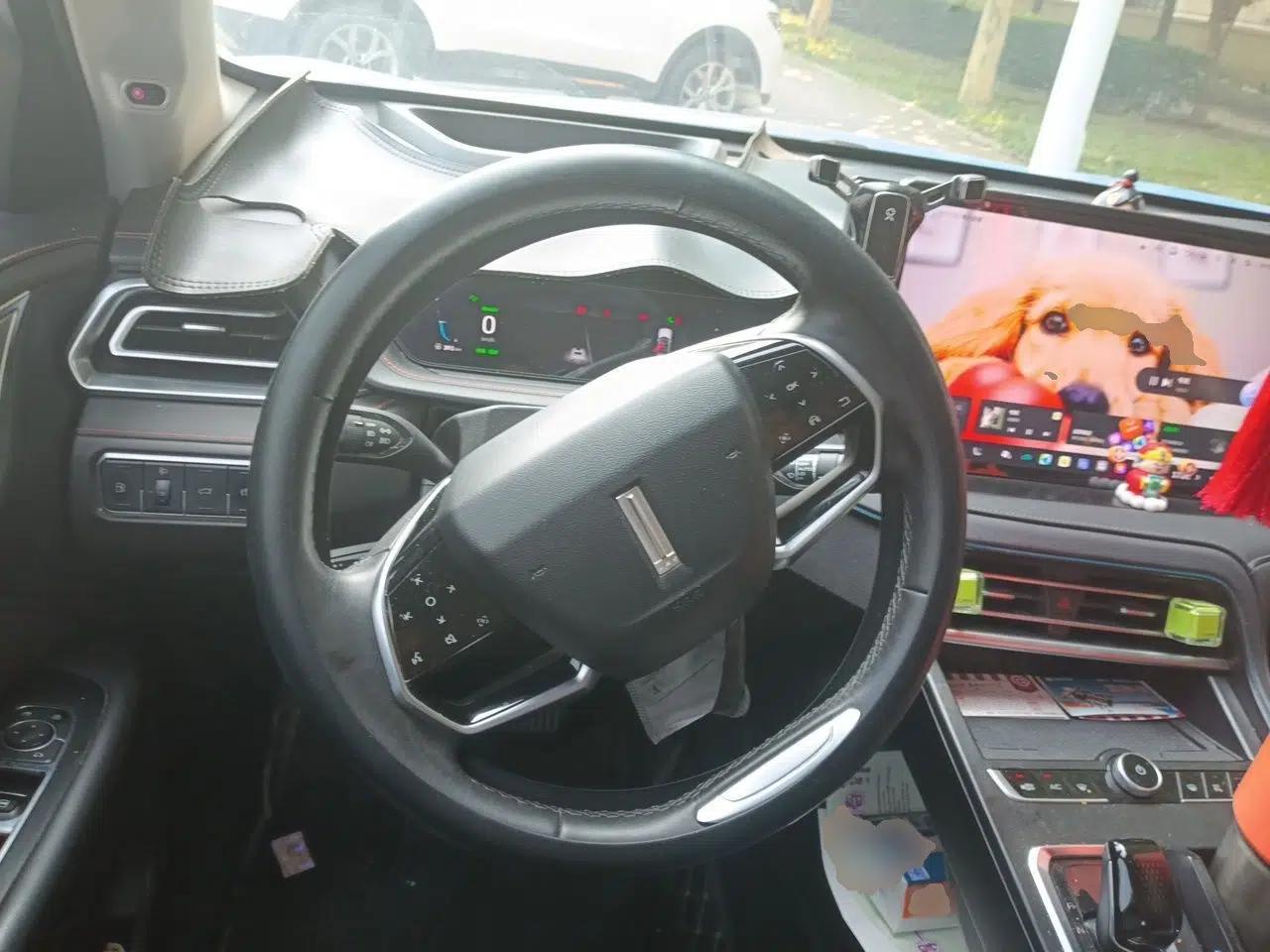 Wey Macchiato DHT-PHEV 2021 1.5L Master Edition — миниатюра 10