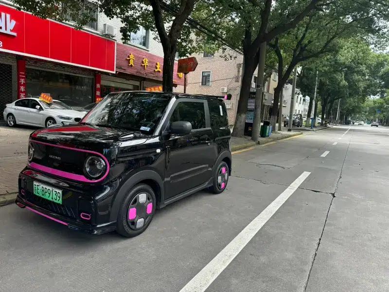 Panda 2025 Model 210km Panda Gokart — миниатюра 1