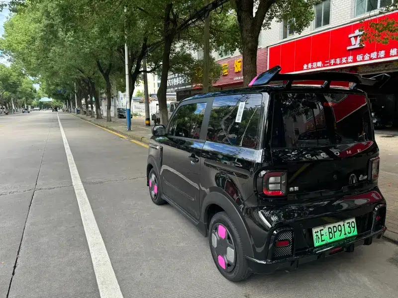 Panda 2025 Model 210km Panda Gokart — миниатюра 3