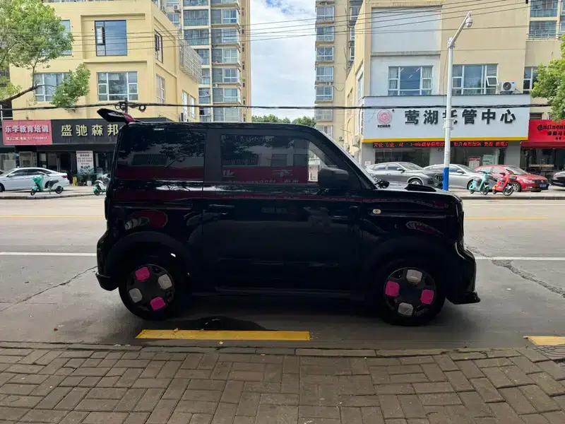 Panda 2025 Model 210km Panda Gokart — миниатюра 6
