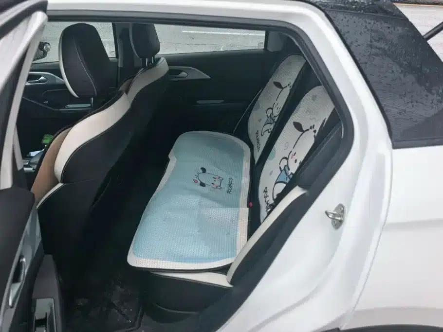 Geely Geometry E Firefly 2022 Model 401KM Thunder Tiger 4-Seater — миниатюра 11