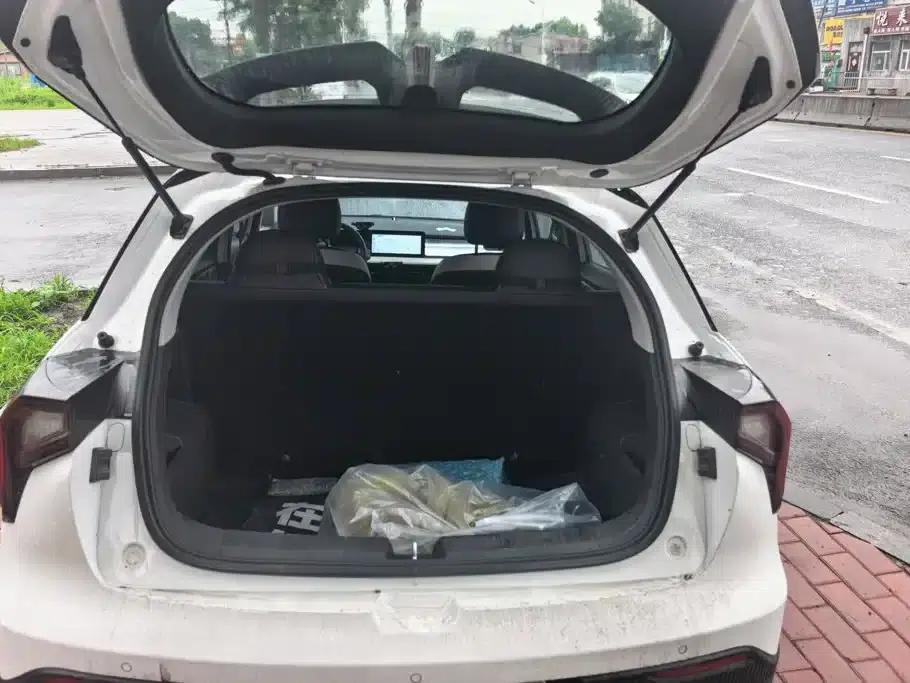 Geely Geometry E Firefly 2022 Model 401KM Thunder Tiger 4-Seater — миниатюра 4