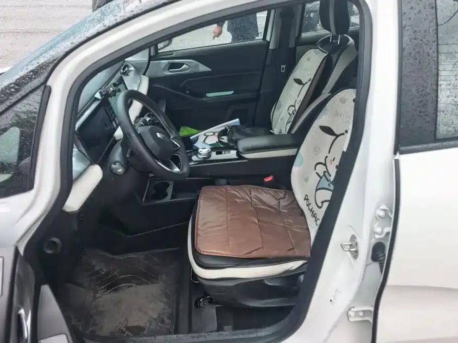 Geely Geometry E Firefly 2022 Model 401KM Thunder Tiger 4-Seater — миниатюра 9