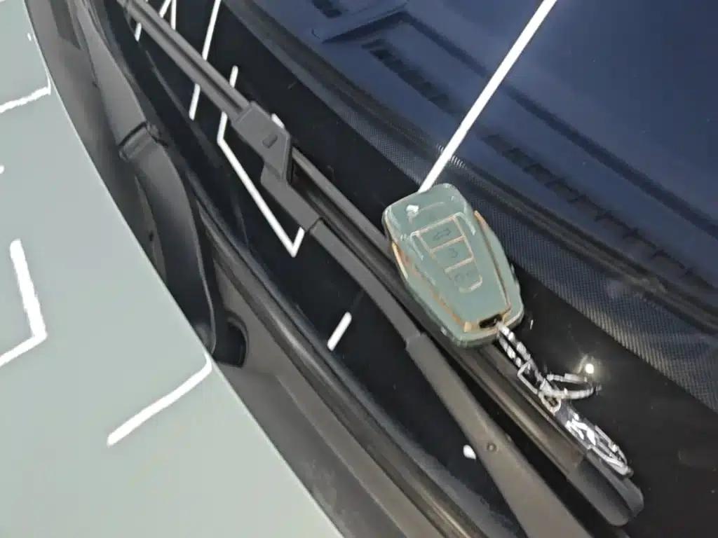Geely Geometry E Firefly 2023 Model 320KM Cute Tiger 5-Seater — миниатюра 9