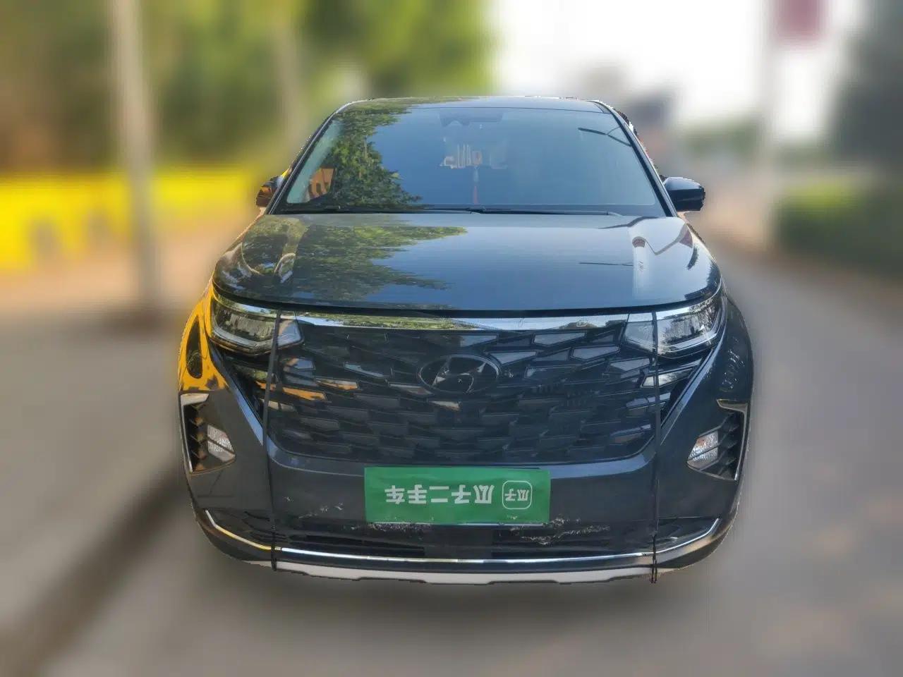 Hyundai Custo 2021 380TGDi Smart Love Flagship Edition TOP Premium — миниатюра 2