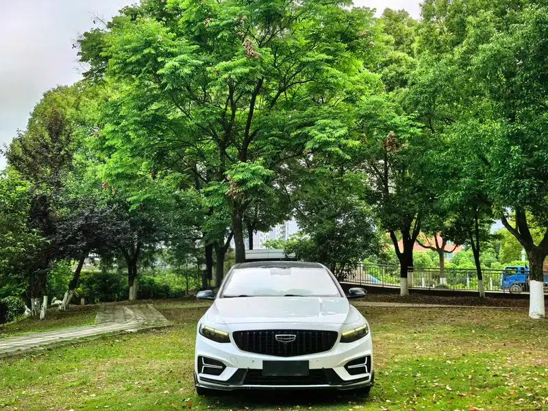 Xingrui 2023 2.0T Luxury Edition — миниатюра 2