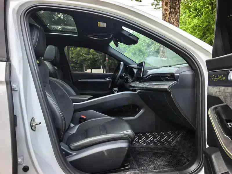 Xingrui 2023 2.0T Luxury Edition — миниатюра 15