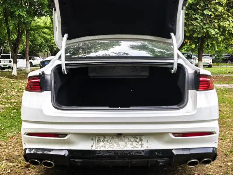 Xingrui 2023 2.0T Luxury Edition — миниатюра 17