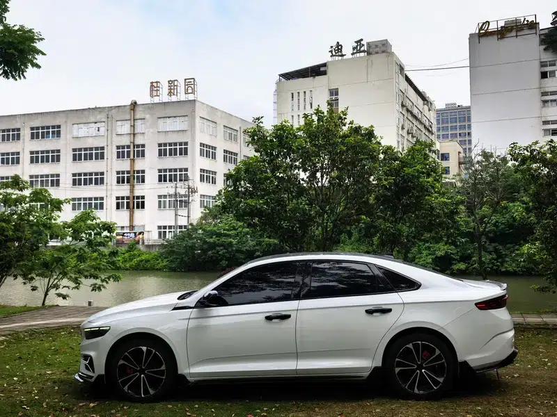 Xingrui 2023 2.0T Luxury Edition — миниатюра 3