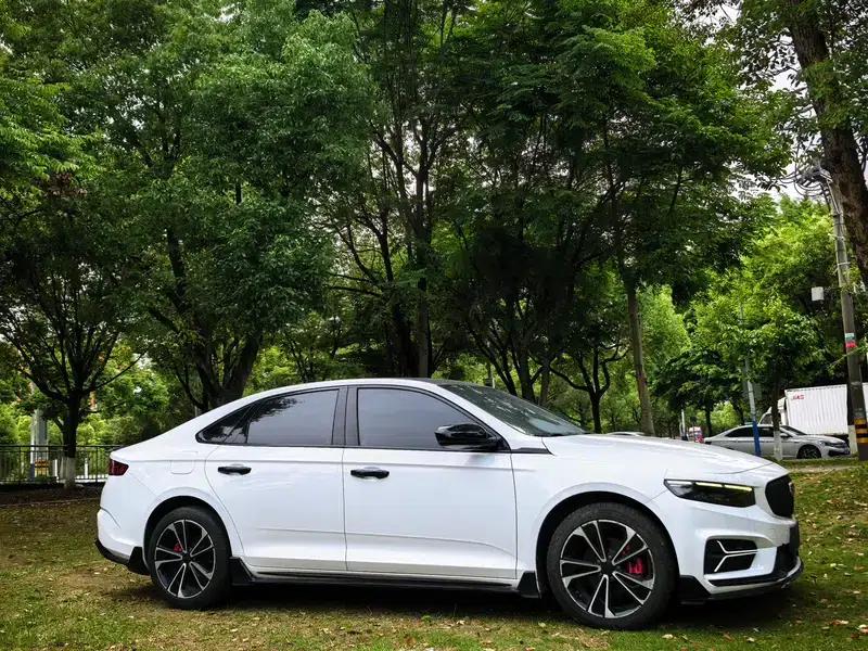 Xingrui 2023 2.0T Luxury Edition — миниатюра 7