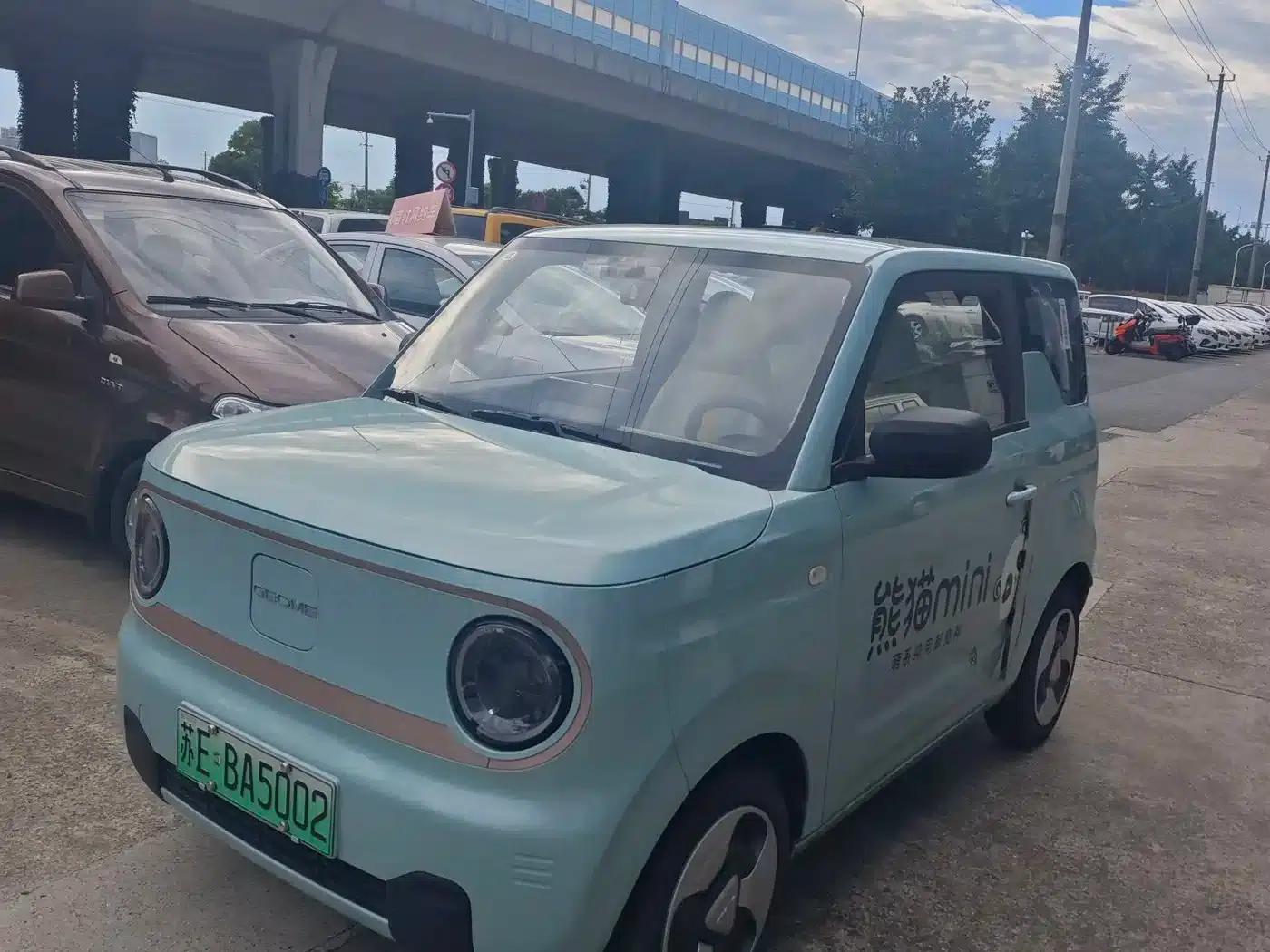 Panda 2025 Panda Mini 210km - Energetic Bear — миниатюра 1