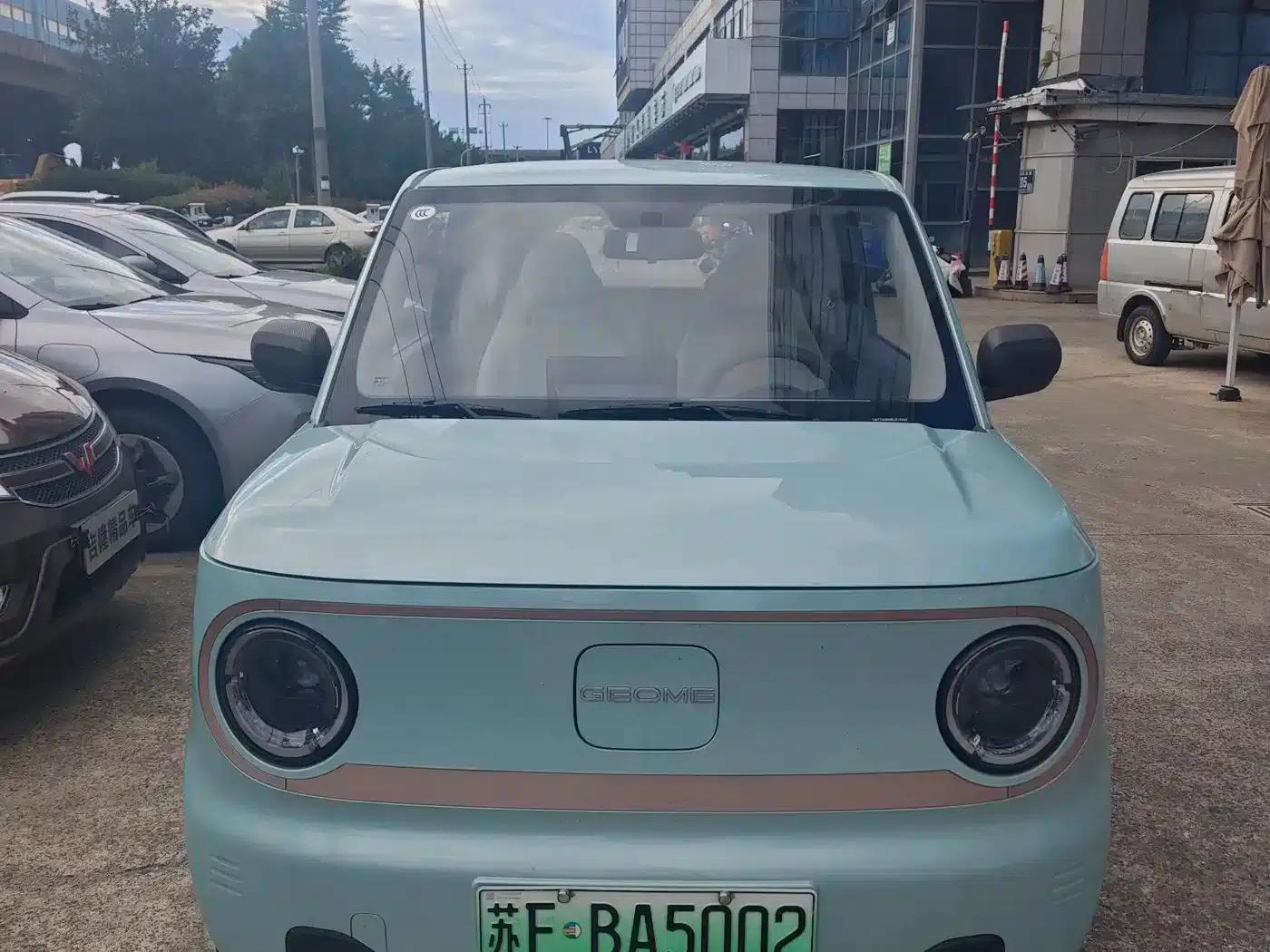 Panda 2025 Panda Mini 210km - Energetic Bear — миниатюра 2