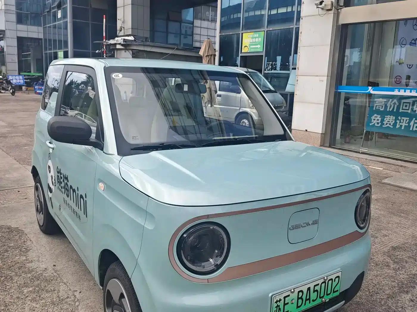 Panda 2025 Panda Mini 210km - Energetic Bear — миниатюра 3