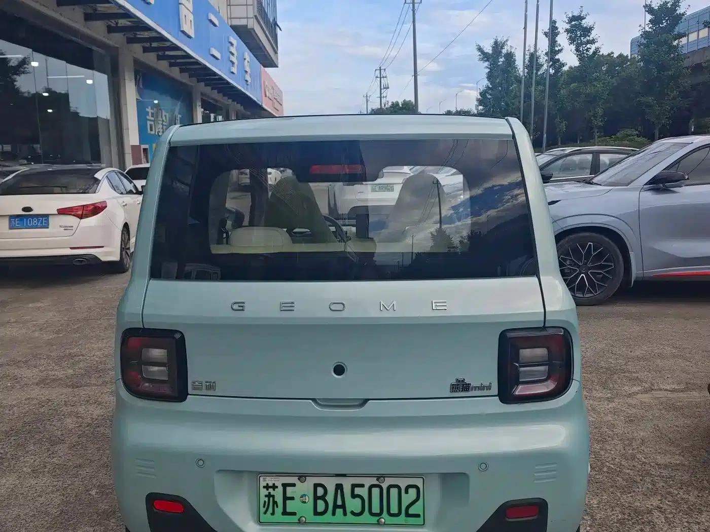 Panda 2025 Panda Mini 210km - Energetic Bear — миниатюра 4