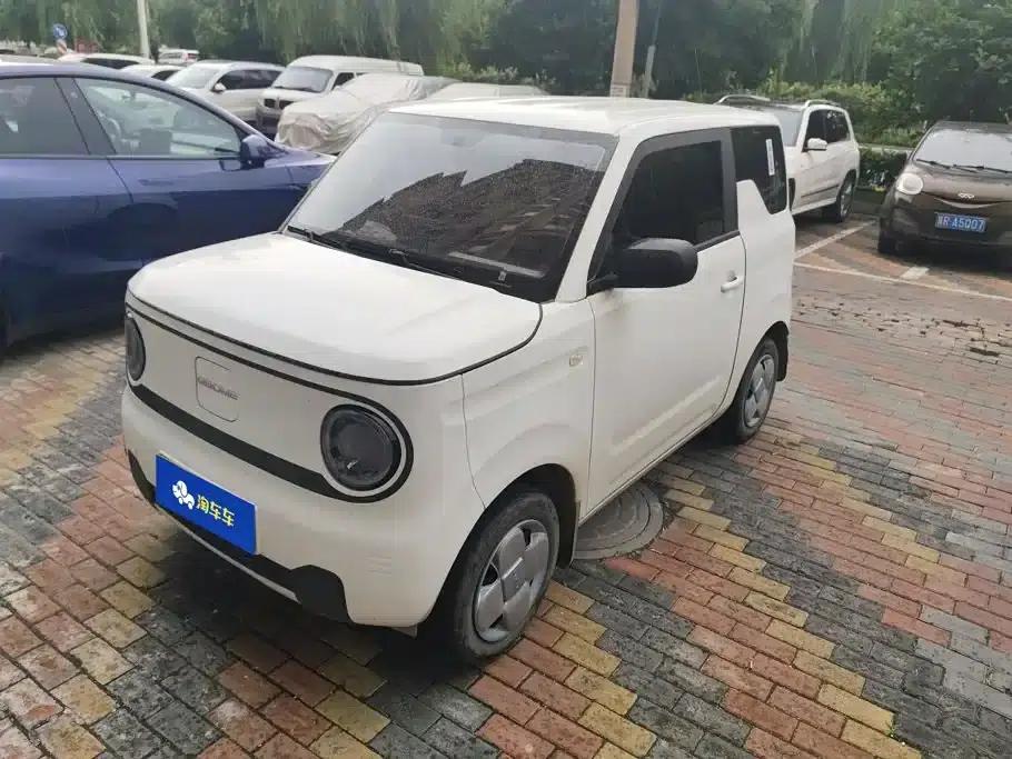 Panda 2024 Panda Mini 200km Endurance Bear — миниатюра 1
