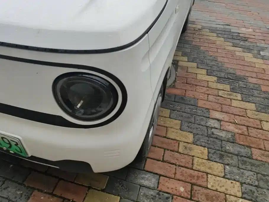 Panda 2024 Panda Mini 200km Endurance Bear — миниатюра 5