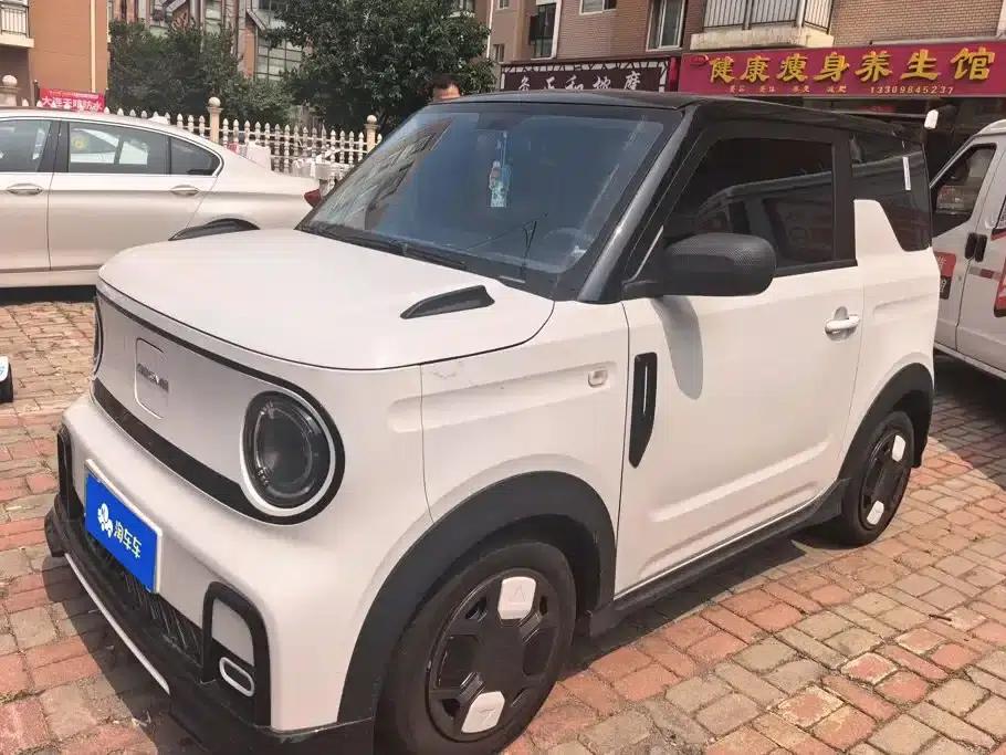 Panda 2025 Panda Mini 210km - Energetic Bear — миниатюра 1