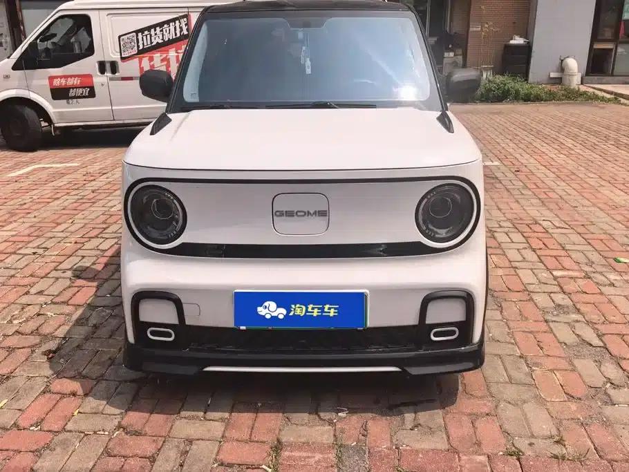 Panda 2025 Panda Mini 210km - Energetic Bear — миниатюра 2