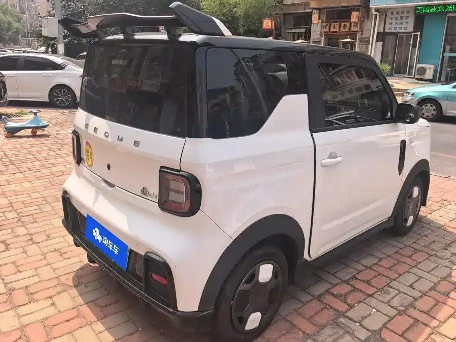 Panda 2025 Panda Mini 210km - Energetic Bear — миниатюра 3