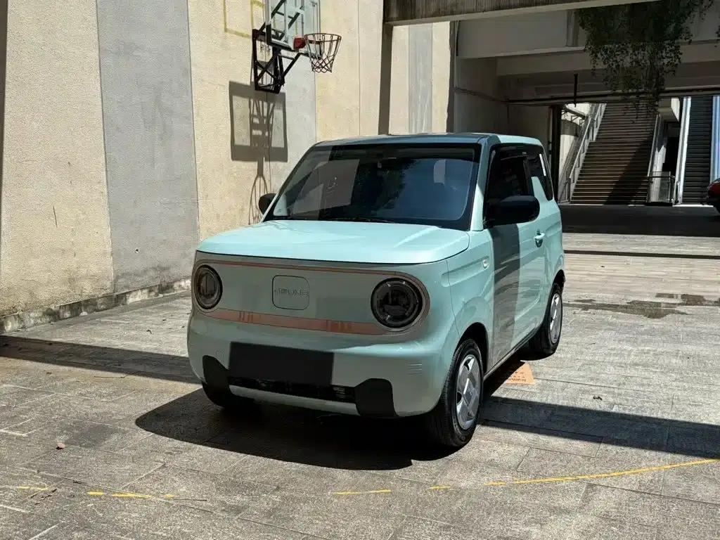 Panda 2024 Panda Mini 200km Endurance Bear — миниатюра 1