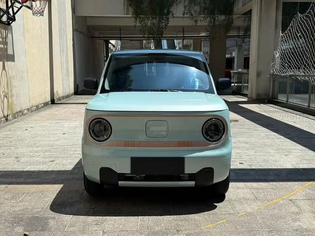 Panda 2024 Panda Mini 200km Endurance Bear — миниатюра 2
