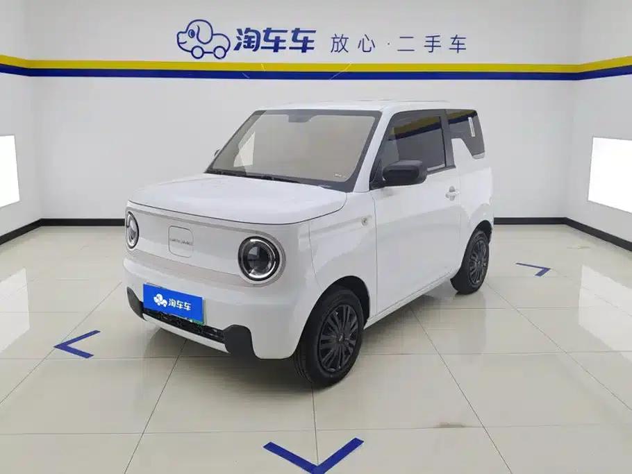 Panda 2023 Panda Mini 200km Endurance Bear — миниатюра 1