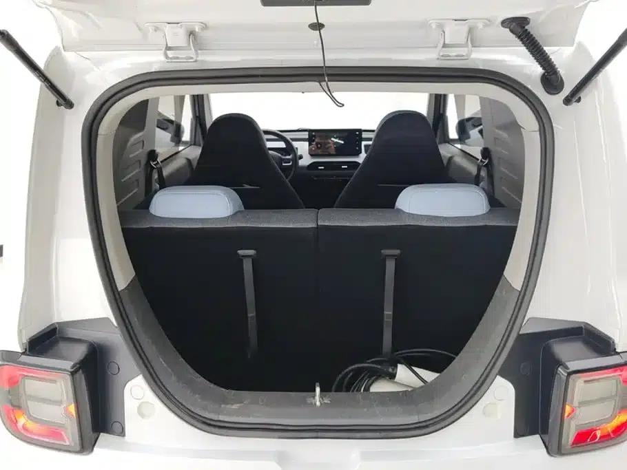 Panda 2023 Panda Mini 200km Endurance Bear — миниатюра 4