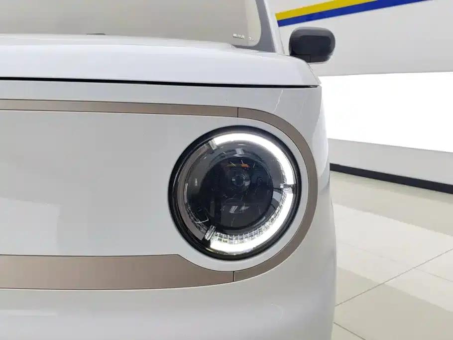 Panda 2023 Panda Mini 200km Endurance Bear — миниатюра 5