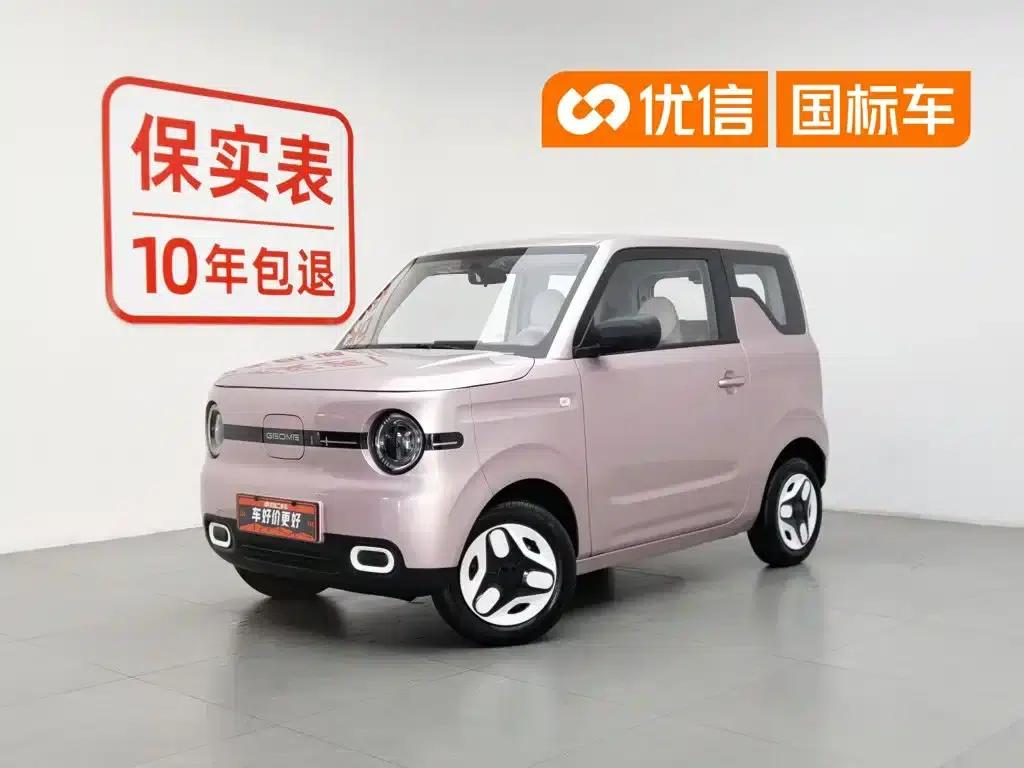 Panda 2025 Panda Mini 210km - Energetic Bear — миниатюра 1