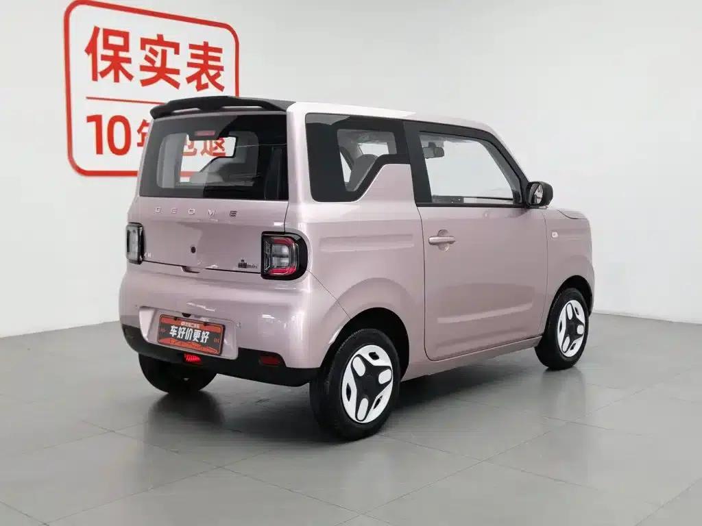 Panda 2025 Panda Mini 210km - Energetic Bear — миниатюра 2